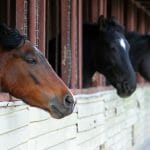 Stable Paint